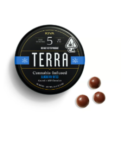 Terra Milk Chocolate Blueberries - Kiva Confections