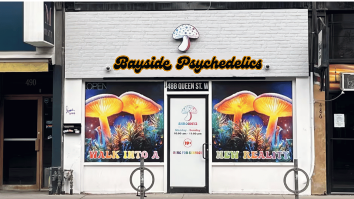 Bayside Psychedelics Store