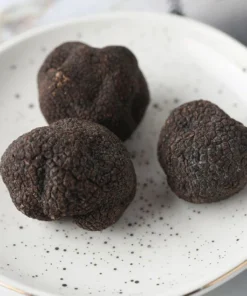 Fresh Black Winter Truffles