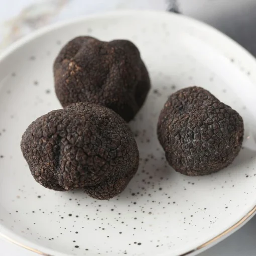 Fresh Black Winter Truffles