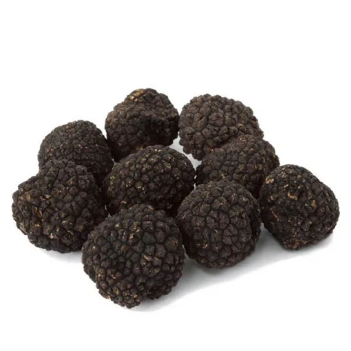 Fresh Black Burgundy Truffles