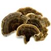 dried-turkey-tail-mushrooms-1-lb