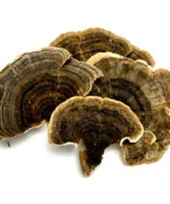 dried-turkey-tail-mushrooms-1-lb